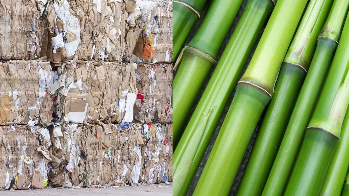 Bambus oder Recycling WC-Papier?