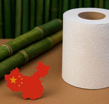 Greenwashing beim WC-Papier: Warum importiertes Bambuspapier aus China kein nachhaltiger Gamechanger ist