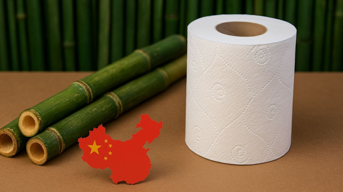 Greenwashing beim WC-Papier: Warum importiertes Bambuspapier aus China kein nachhaltiger Gamechanger ist
